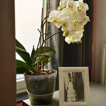Apartment White Arrow *