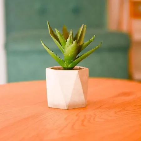 White Arrow Apartment