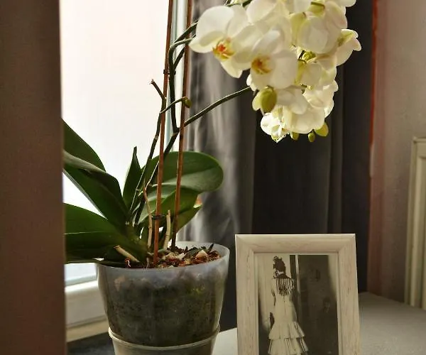 아파트 White Arrow *