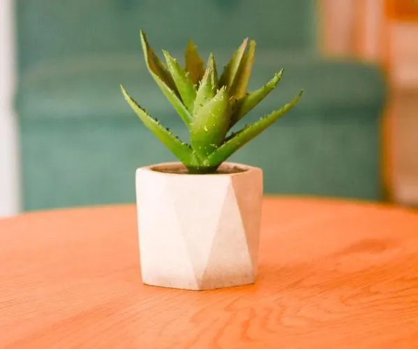 White Arrow 아파트